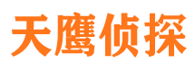 新会侦探